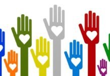 Mengenal Organisasi Nirlaba: Peran dan Manfaatnya di Masyarakat